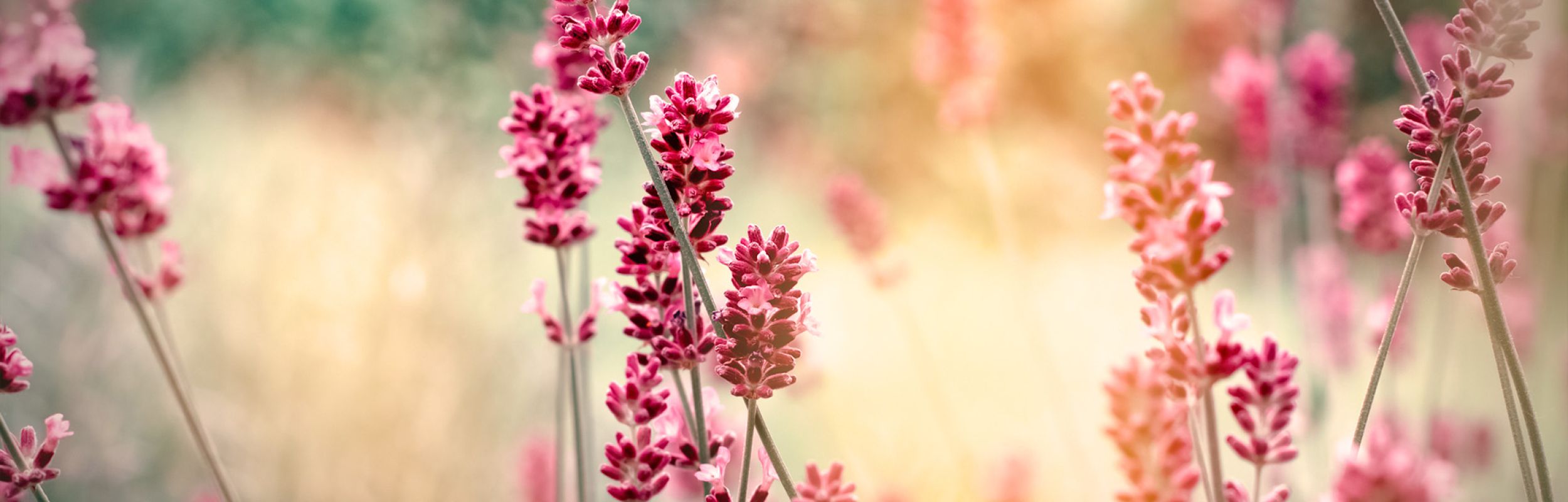 Fri efter psykisk vold