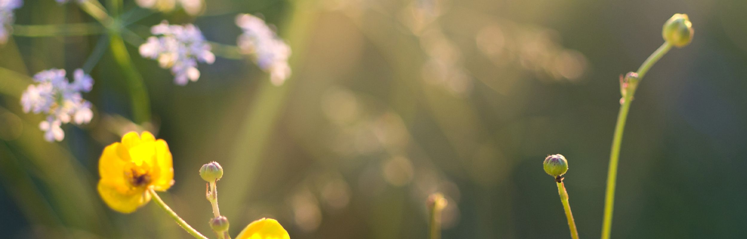 Fra stress til balance