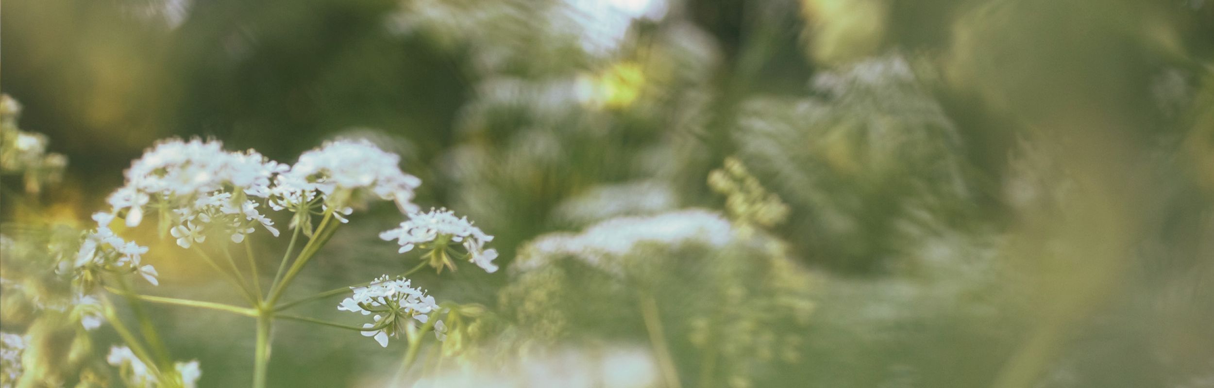 Priser psykoterapi og afspænding - psykomotorisk behandling