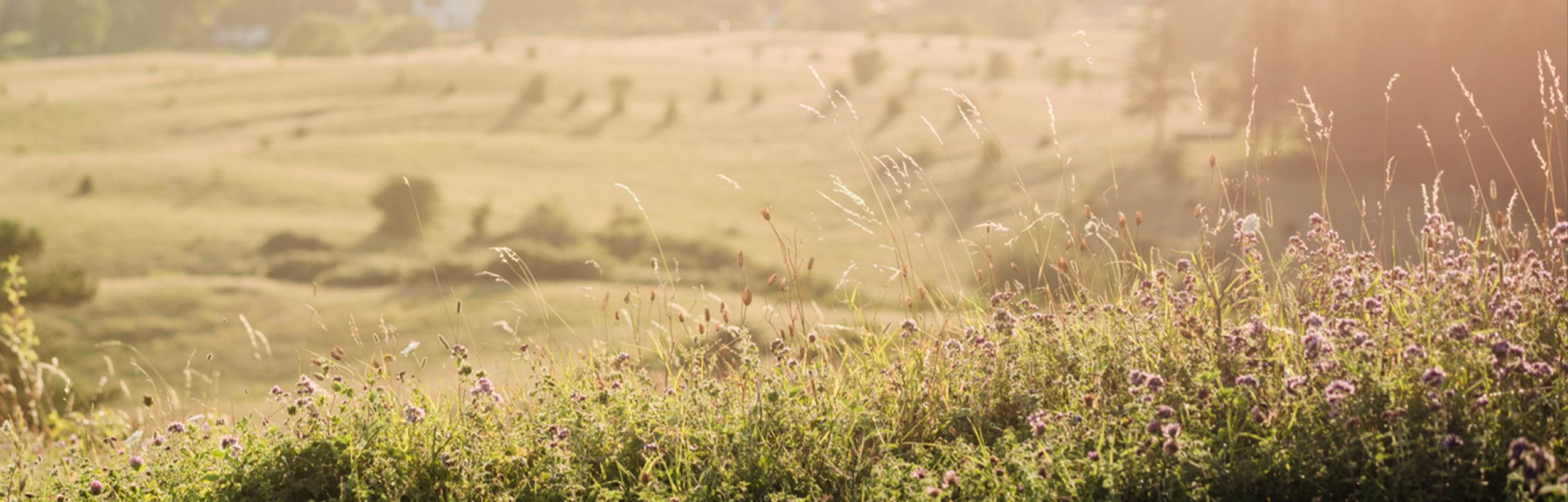 Afspænding - Psykomotorik - Kropsterapi