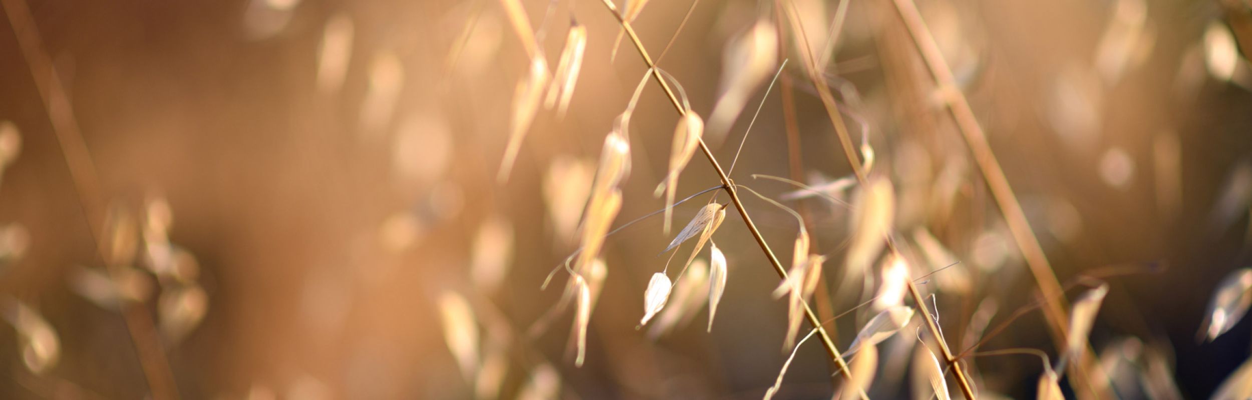 Tag sorgen i hånden